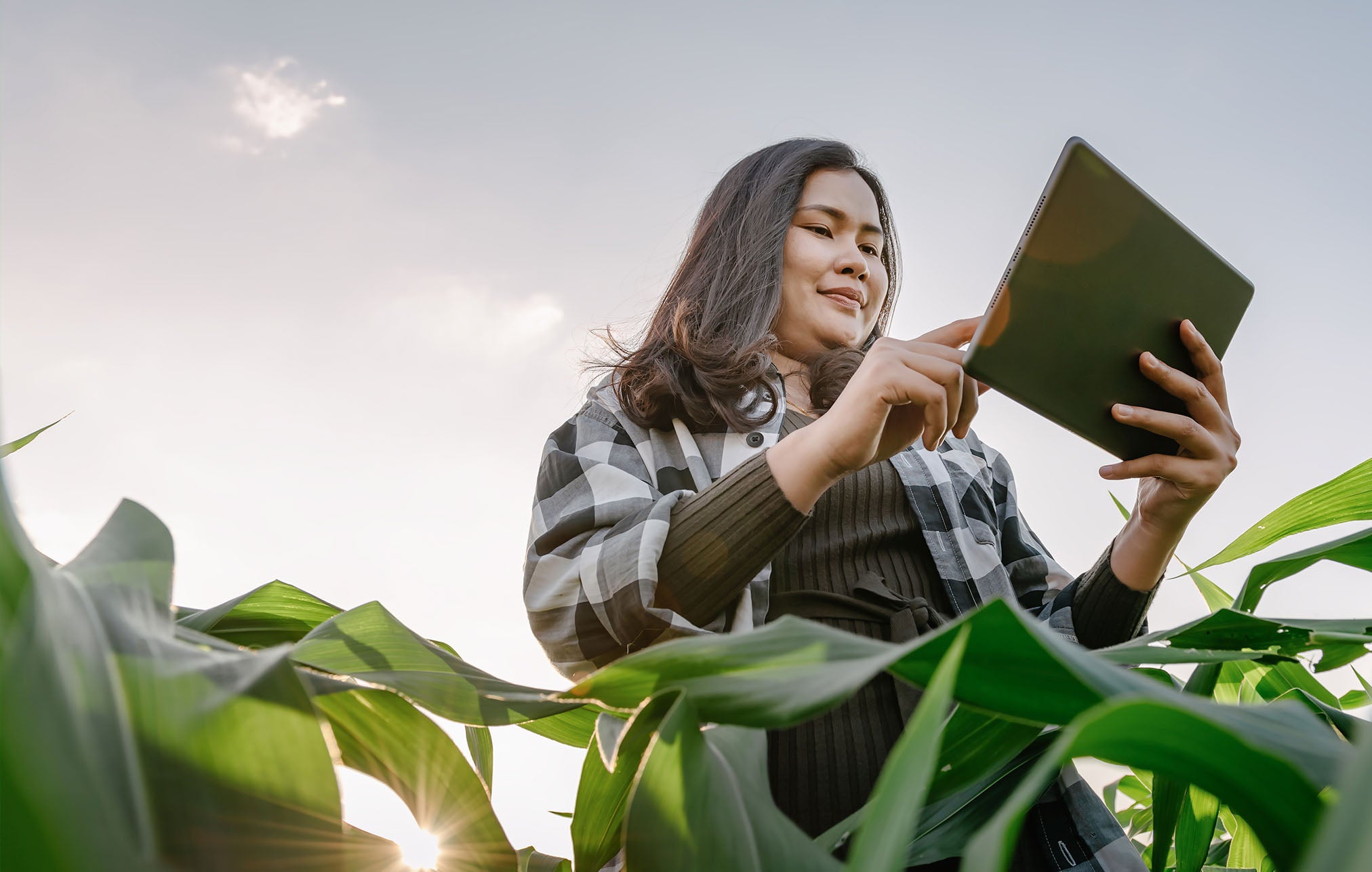 1. A woman stands in a field, holding a tablet computer, engaged in outdoor work or research.