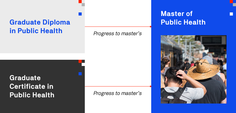 1. Diagram illustrating the stages of a Master of Public Health program, including coursework, internships, and capstone projects.